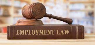 employment lawyers no win no fee